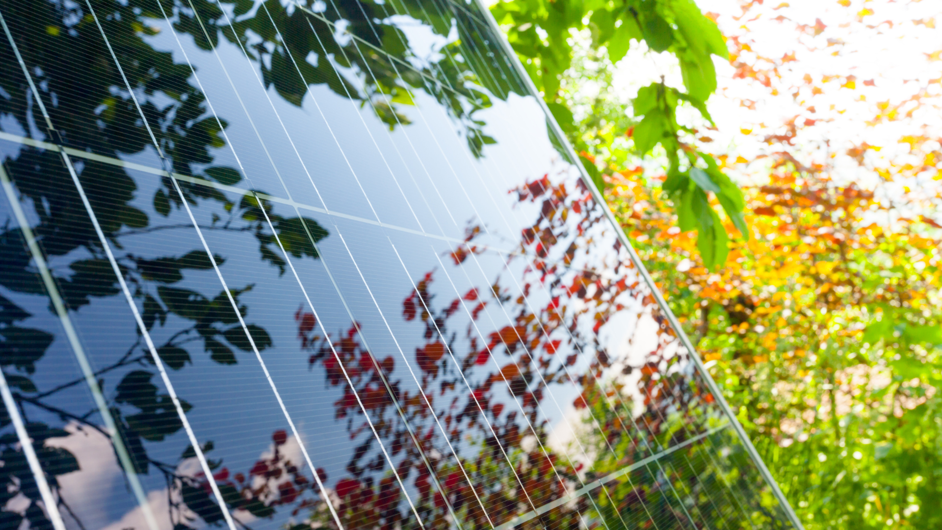 solar panels